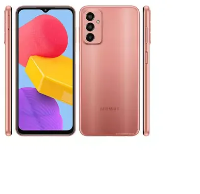 Samsung Galaxy F13